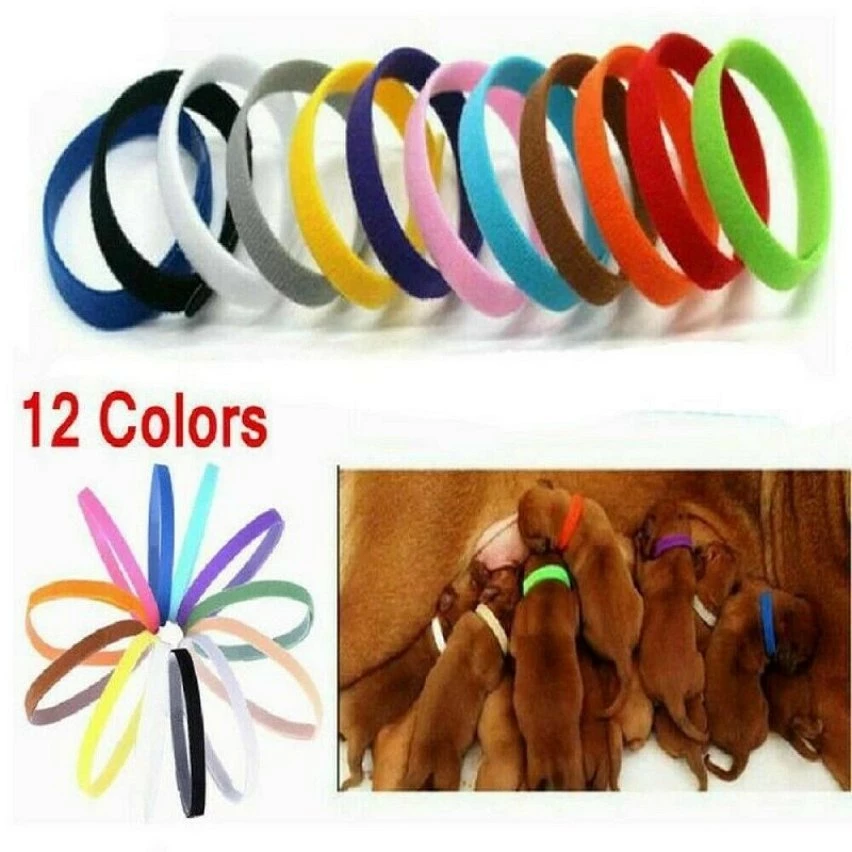Meilleure affaire 😀 Passionimaux59 12 Colliers D'identification Réglable Mise Pour Chiot Chaton Élevage Couleurs ⌛ 4 Meilleure affaire 😀 Passionimaux59 12 Colliers D'identification Réglable Mise Pour Chiot Chaton Élevage Couleurs ⌛ – Image 2