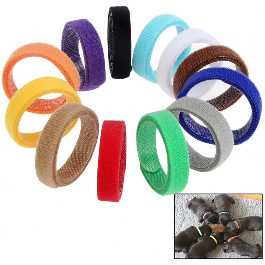 Meilleure affaire 😀 Passionimaux59 12 Colliers D'identification Réglable Mise Pour Chiot Chaton Élevage Couleurs ⌛ 5 Meilleure affaire 😀 Passionimaux59 12 Colliers D'identification Réglable Mise Pour Chiot Chaton Élevage Couleurs ⌛ – Image 3
