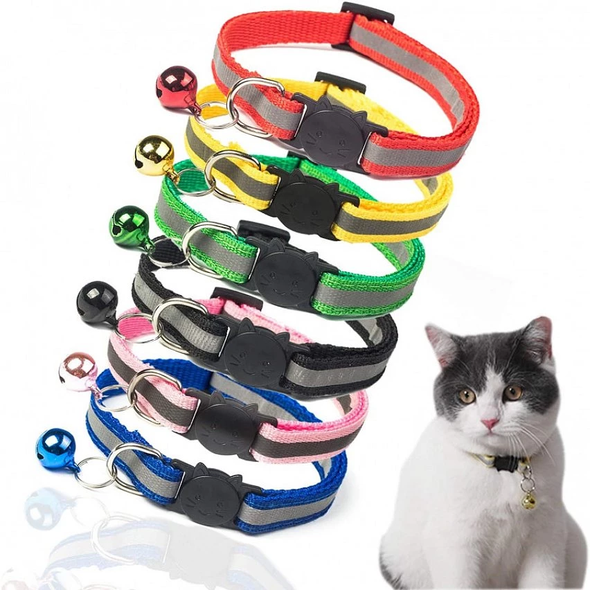 Offres 😀 Passionimaux59 Collier Nylon Réfléchissant Anti Étranglement Pour Chat Chaton avec Grelot - Bleu Clair ⭐ 8 Offres 😀 Passionimaux59 Collier Nylon Réfléchissant Anti Étranglement Pour Chat Chaton avec Grelot - Bleu Clair ⭐ – Image 6