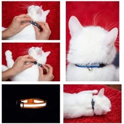 Vente flash 😉 Passionimaux59 Collier Nylon Réfléchissant Anti Étranglement Pour Chat Chaton avec Grelot - Vert Fluo 🔔 -Bon plan Animalerie Soldes 3701491702820 3 9