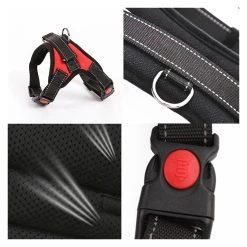 Tout neuf đ Passionimaux59 Harnais RembourrĂ© RĂ©glable Souple Respirant Pour Chien Promenade - Rouge - XL â 14 Tout neuf đ Passionimaux59 Harnais RembourrĂ© RĂ©glable Souple Respirant Pour Chien Promenade - Rouge - XL â -Bon plan Animalerie Soldes 3701491704190 6