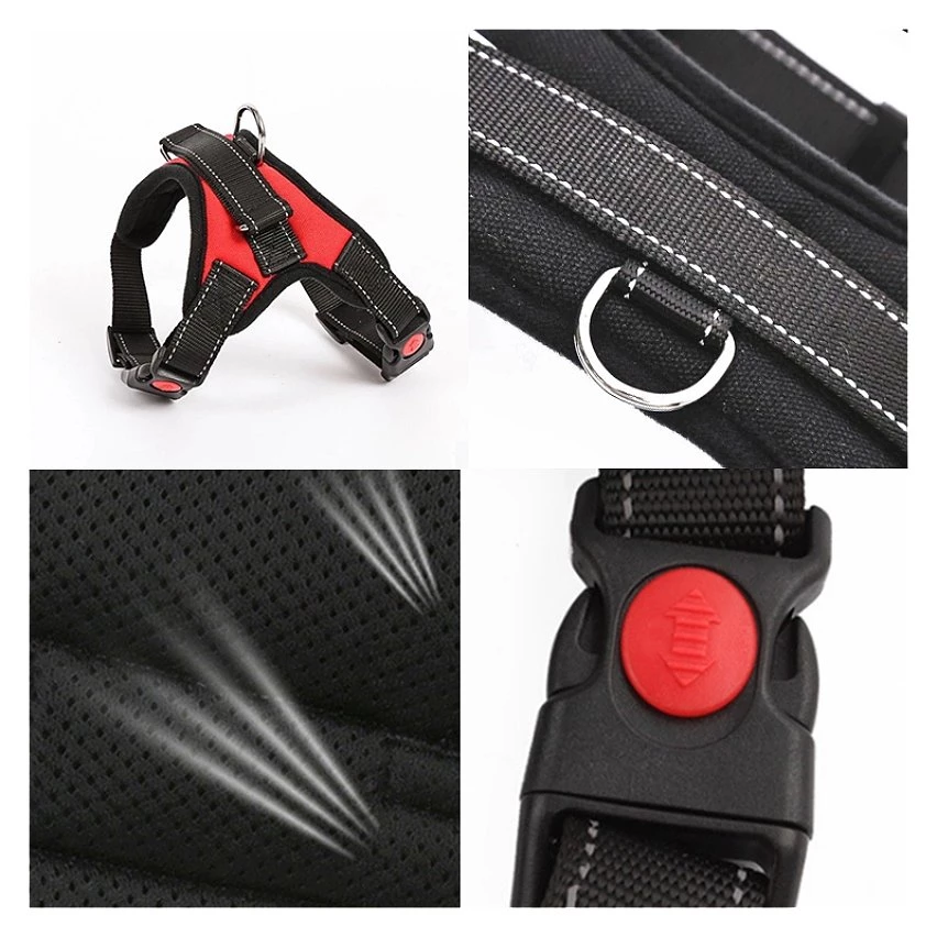 Tout neuf đ Passionimaux59 Harnais RembourrĂ© RĂ©glable Souple Respirant Pour Chien Promenade - Rouge - XL â 8 Tout neuf đ Passionimaux59 Harnais RembourrĂ© RĂ©glable Souple Respirant Pour Chien Promenade - Rouge - XL â â Image 6