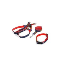 Le moins cher 👍 Passionimaux59 Lot de 3 Pièces Harnais Laisse Collier 👖 Jeans Chien Chat Chiot Promenade - Rouge - XL ✔️