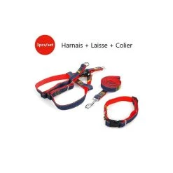 Coupon 🌟 Passionimaux59 Lot de 3 Pièces Harnais Laisse Collier 👖 Jeans Chien Chat Chiot Promenade - Rouge - M ❤️ -Bon plan Animalerie Soldes 3701491704510 3 1
