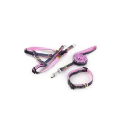 Top 10 ✔️ Passionimaux59 Lot de 3 Pièces Harnais Laisse Collier 👖 Jeans Chien Chat Chiot Promenade - Rose - L ⌛