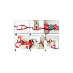 Budget 🔔 Passionimaux59 Lot de Harnais et Laisse pour petit Chien Chiot Chat Promenade Sortie - Bleu/ bleu foncé ⭐ -Bon plan Animalerie Soldes 3701491704565 4