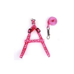 Meilleure affaire 🔔 Passionimaux59 Lot de Harnais et Laisse pour petit Chien Chiot Chat Promenade Sortie - Rouge ❤️ -Bon plan Animalerie Soldes 3701491704572 2