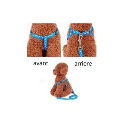 Meilleure affaire 🔔 Passionimaux59 Lot de Harnais et Laisse pour petit Chien Chiot Chat Promenade Sortie - Rouge ❤️ -Bon plan Animalerie Soldes 3701491704572 5