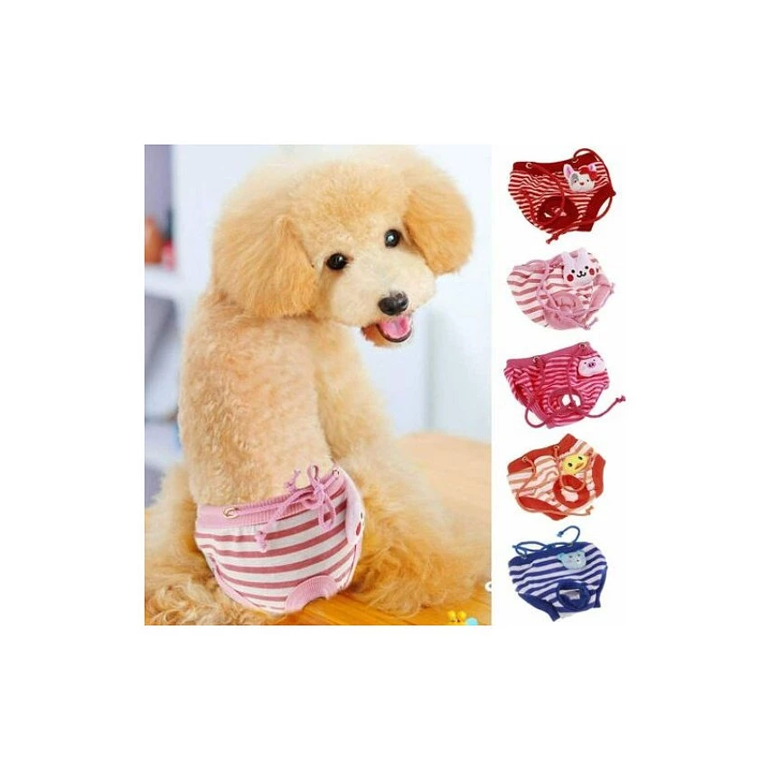 De gros 🌟 Passionimaux59 Couche-Culotte 3D Bandes Hygiénique Pour Chien Réglable Lavable Réutilisable - Orange - M 🎁 7 De gros 🌟 Passionimaux59 Couche-Culotte 3D Bandes Hygiénique Pour Chien Réglable Lavable Réutilisable - Orange - M 🎁 – Image 5