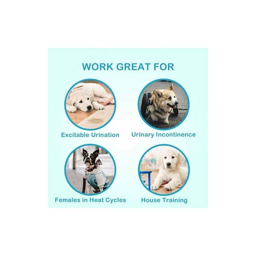 Top 10 ❤️ Passionimaux59 Couche-Culotte 3D Bandes Hygiénique Pour Chien Réglable Lavable Réutilisable - Orange - L 🔔 6 Top 10 ❤️ Passionimaux59 Couche-Culotte 3D Bandes Hygiénique Pour Chien Réglable Lavable Réutilisable - Orange - L 🔔 – Image 4