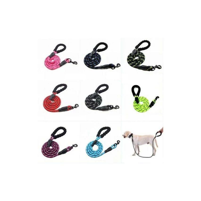 Meilleur prix 🎉 Passionimaux59 Laisse Chien Corde Nylon Solide Poignée Rembourrée Réfléchissante Sortie - Bleu Foncé ✔️ 3 Meilleur prix 🎉 Passionimaux59 Laisse Chien Corde Nylon Solide Poignée Rembourrée Réfléchissante Sortie - Bleu Foncé ✔️