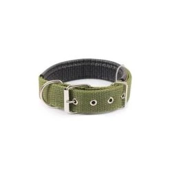 Meilleure vente 🤩 Passionimaux59 Collier Nylon Pour Chien Réglable Avec Protection Cuir PU - Vert - M 🎉