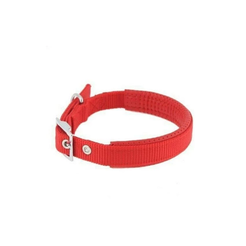 Acheter 🧨 Passionimaux59 Collier Nylon Pour Chien Réglable Avec Protection Cuir PU - Rouge - L 🤩 4 Acheter 🧨 Passionimaux59 Collier Nylon Pour Chien Réglable Avec Protection Cuir PU - Rouge - L 🤩 – Image 2