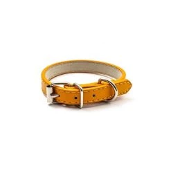 Grosses soldes 🛒 Passionimaux59 Collier Pour Chien Chiot Chat Cuir PU Réglable - Orange - M 🧨 -Bon plan Animalerie Soldes 3701491711365 1 3