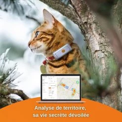 Bon marché 😍 Traceur GPS pour Chat Weenect 😉 -Bon plan Animalerie Soldes 3770000300109 7
